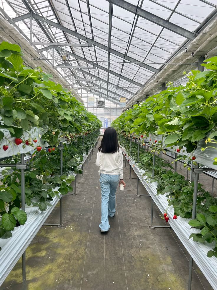 Strawberry farm •^ 🍰🍓💋